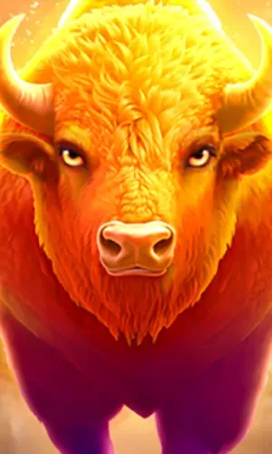 Charge Buffalo Ascent