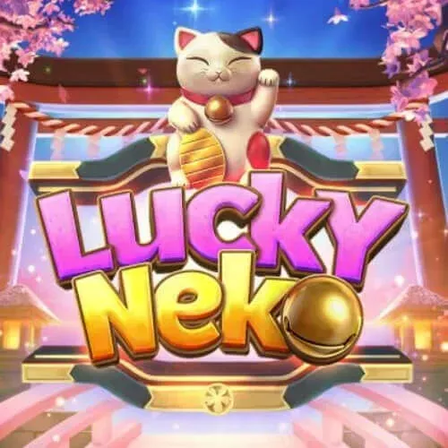 winner-info