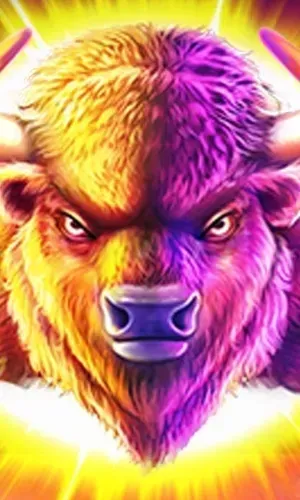 Buffalo King